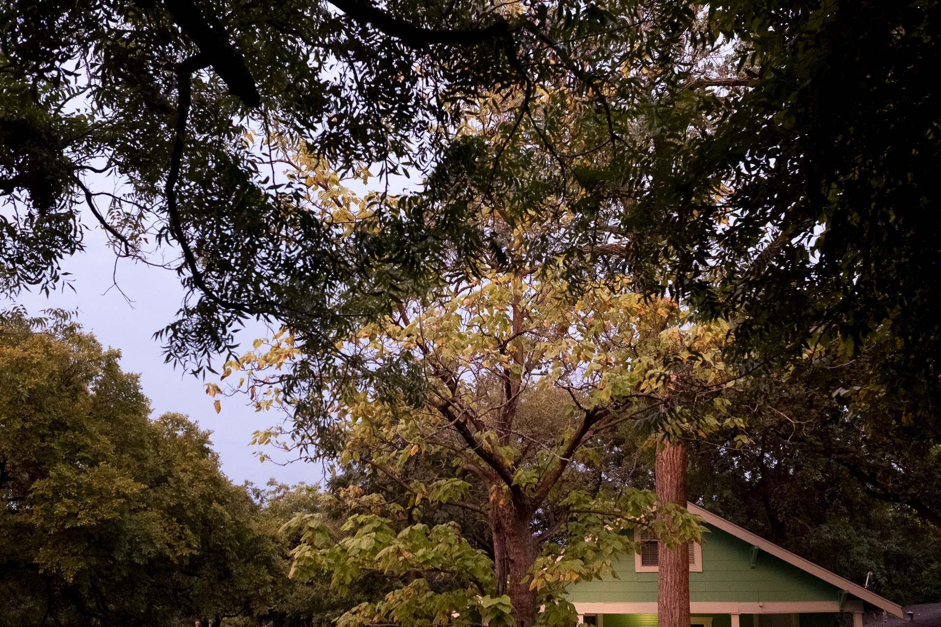 Porch Swing Orchestra